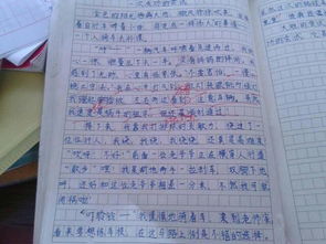 校園小事作文400到500字作文