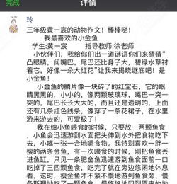 校園里的趣味作文