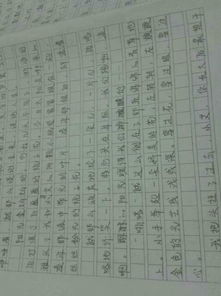 校園的一角150字作文八中