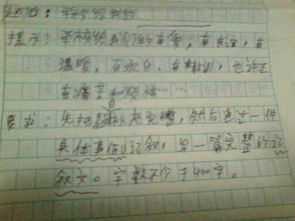 校園中的快樂作文400字