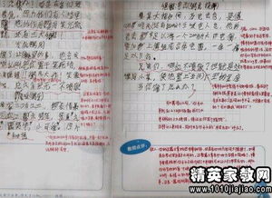 描寫校園作文評(píng)語(yǔ)