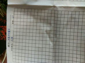 寫校園欺凌的作文500字