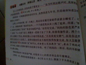 校園最美瞬間作文初中作文