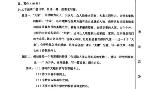 初一作文我的新校園晉城十中