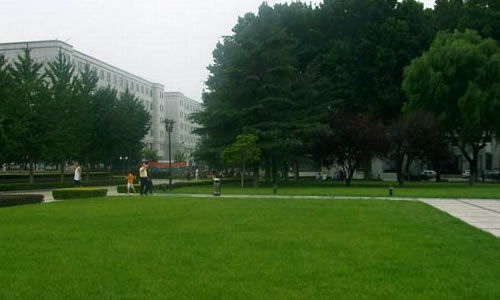 校園的變化100作文