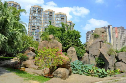 有關(guān)假山校園的風景線作文