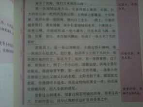 作文,春夏秋冬,開頭,校園