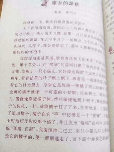 校園風(fēng)貌作文600字