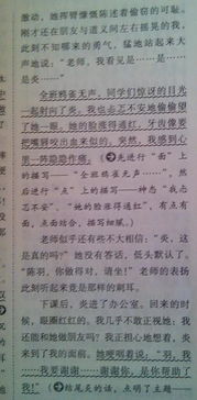 校園中的趣事作文500字左右