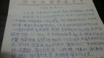 校園的菜園作文四級400字