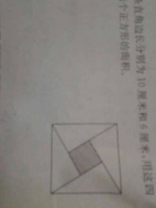 我有趣的校園生活作文