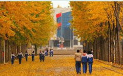 校園秋色作文200字初中