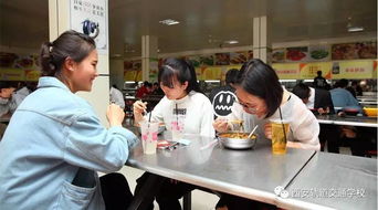 作文校園生活那些事