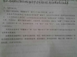 校園美術(shù)比賽作文800字