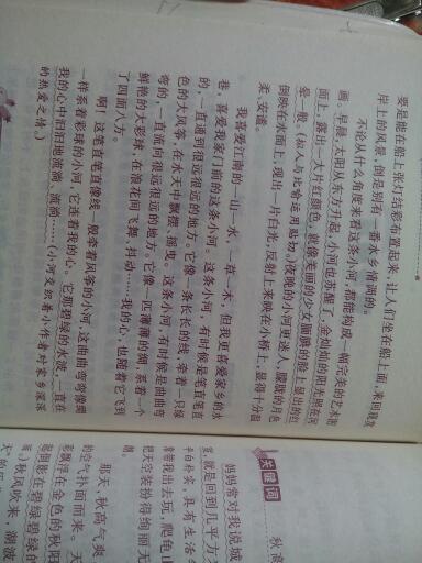 難忘家鄉(xiāng)的校園作文400字左右