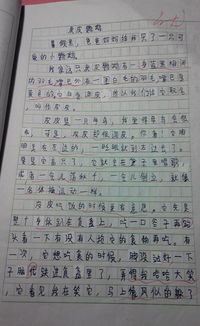 我愛(ài)校園作文海南小學(xué)作文500字