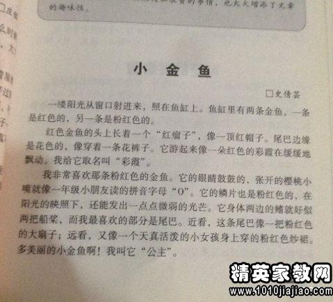 校園里的趣事作文430字