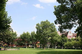 高中校園的風(fēng)景作文800字