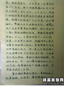 校園運動會跳高作文300字