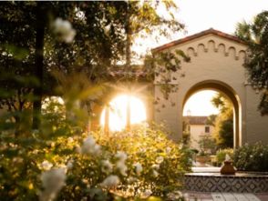 校園也美麗800作文開頭