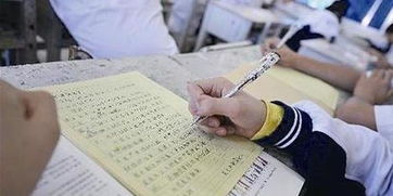 總寫(xiě)校園的作文