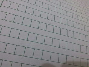 美麗校園人人有責(zé)作文