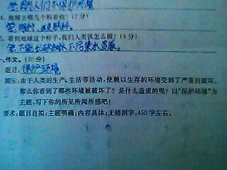 未來的校園450十字作文