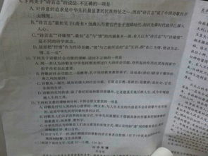 校園里的中國(guó)文化名人畫(huà)廊作文