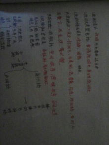 校園作文以空間順序的