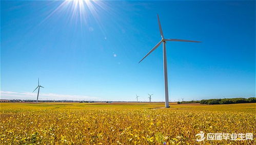 初中校園生活的作文700字