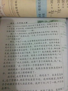 校園的樹(shù)作文400字詠柳