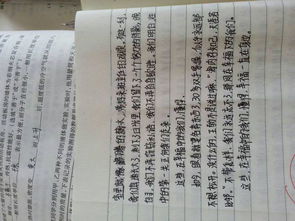 燦爛的校園作文600字