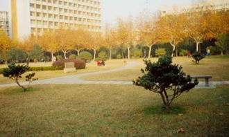 寫校園字趣事400字作文