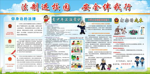 關于法律法規(guī)進校園作文