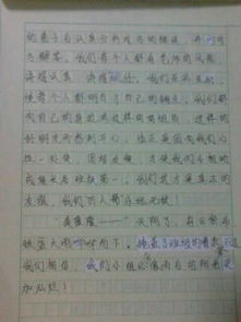 小學(xué)六的校園生活我不會忘記作文