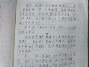 作文七級初進(jìn)校園600