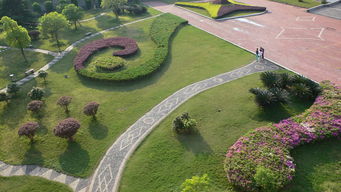 校園一隅英文作文