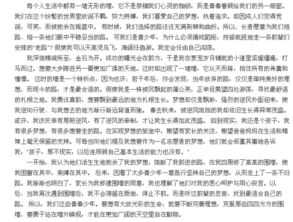 校園的天空作文800