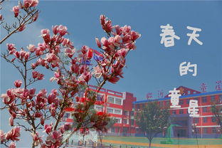 校園里百花爭艷的作文