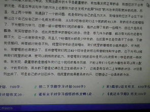 關(guān)于新校園的風景的作文700字