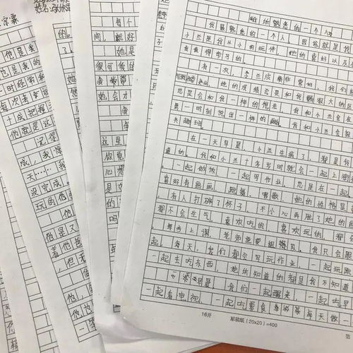 記校園的足球賽作文