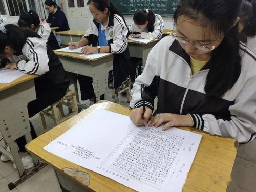 愛在校園里作文500字作文