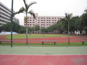 深圳市南山小學校園的作文