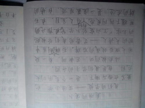 校園一課游400字作文