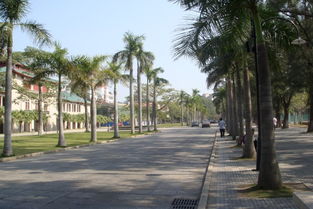 關(guān)于校園的早晨作文三級