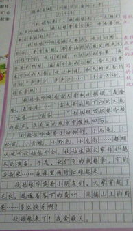秋到校園作文400字作文