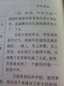 校園生活英語(yǔ)300字作文大全