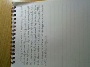 我的校園時光英語作文