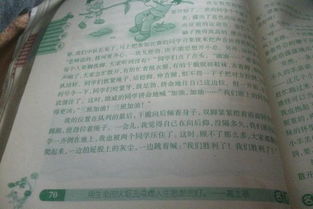 校園清冰活動作文50字