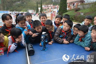 科普大篷車進校園觀后感作文